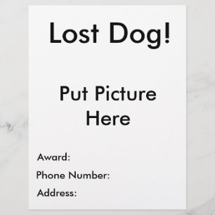 Borttappad Hund Flyer