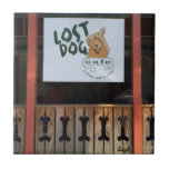 Borttappad Hund, Folly Beach, Charleston, Carolina Kakelplatta<br><div class="desc">Borttappad Hund Underlägg,  Folly Beach Underlägg,  Folly Beach gifts,  Folly Beach,  Charleston South Carolina,  Charleston Gifts,  Folly Beach jul Ornament,  Folly Beach Art,  Charleston Bröllop,  Folly Beach Mugg,  Folly Beach T-shirt.</div>