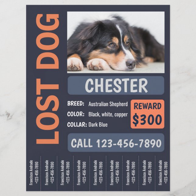 Borttappad Hund Poster ej belöning Reklamblad (Framsidan)