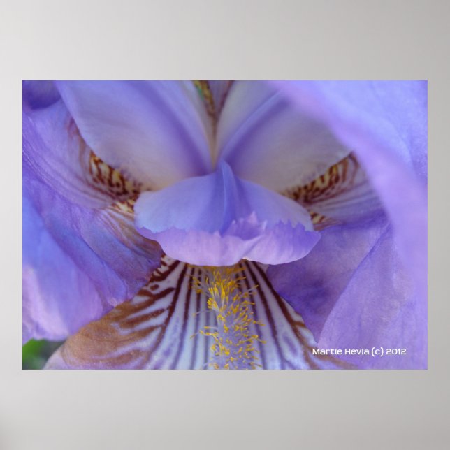 Borttappad i en Dream Poster (Framsidan)