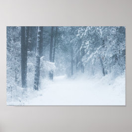 Borttappad i en magisk skog poster