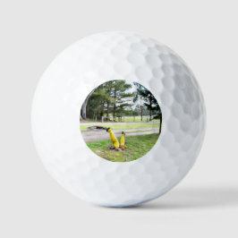 Borttappad i Garden igen