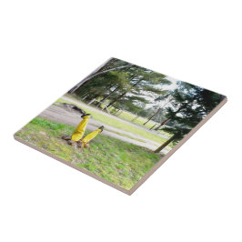 Borttappad i Garden igen Kakelplatta