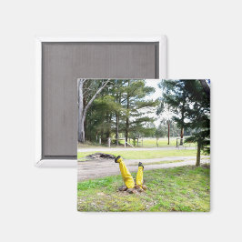 Borttappad i Garden igen Magnet