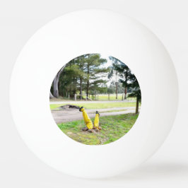 Borttappad i Garden igen Pingisboll