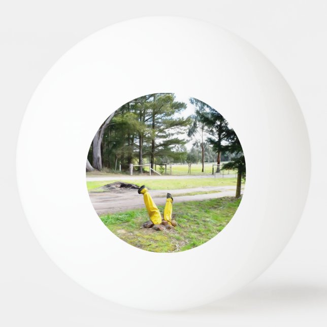 Borttappad i Garden igen Pingisboll (Framsidan)