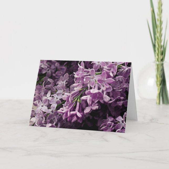 Borttappad i Lilac Kort (Framsida)
