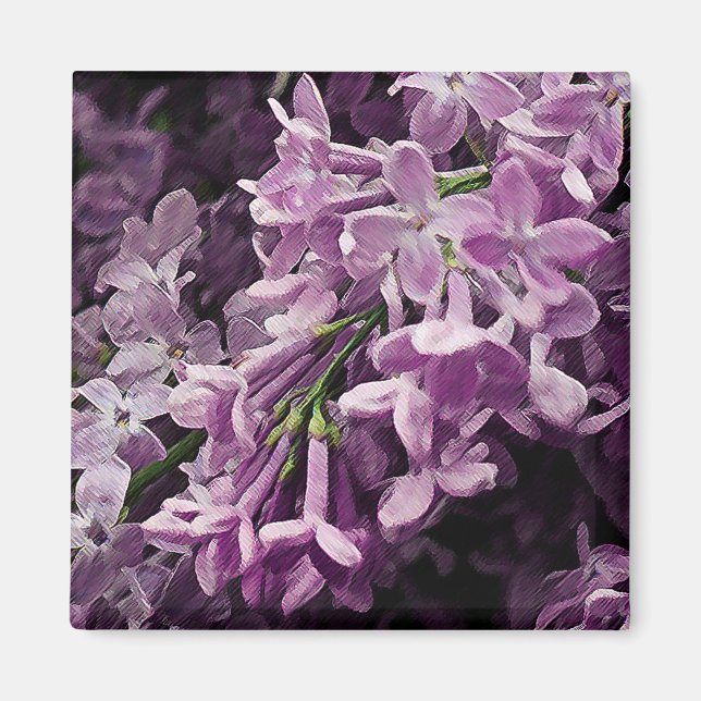 Borttappad i Lilac Magnet (Framsidan)