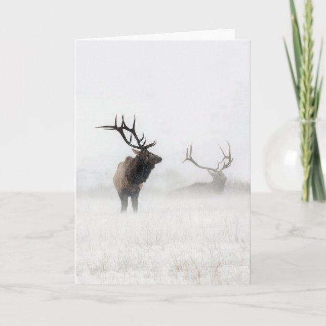 "Borttappad i Storm"-Helgdag Kort (Framsida)