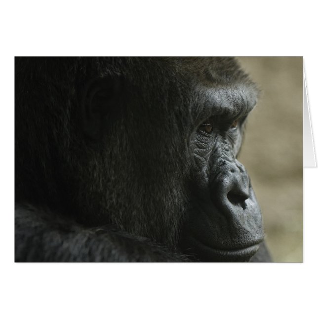 Borttappad i tanken hälsningskort (Framsidan Horizontal)