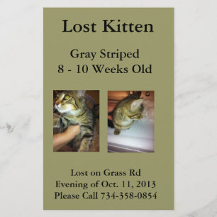 Borttappad Kitten Flyer