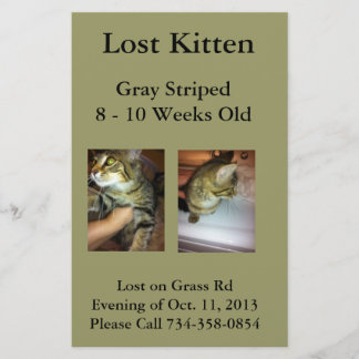 Borttappad Kitten Flyer