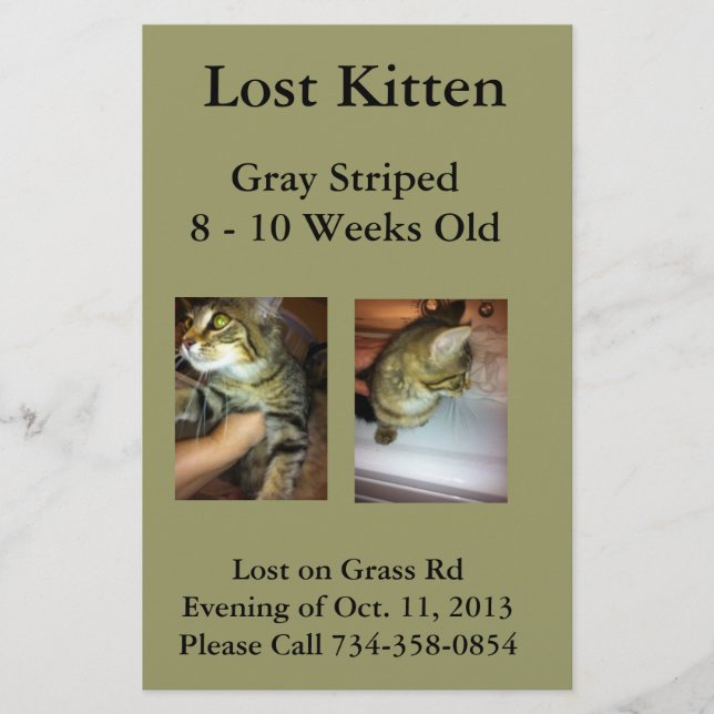 Borttappad Kitten Flyer (Framsidan)