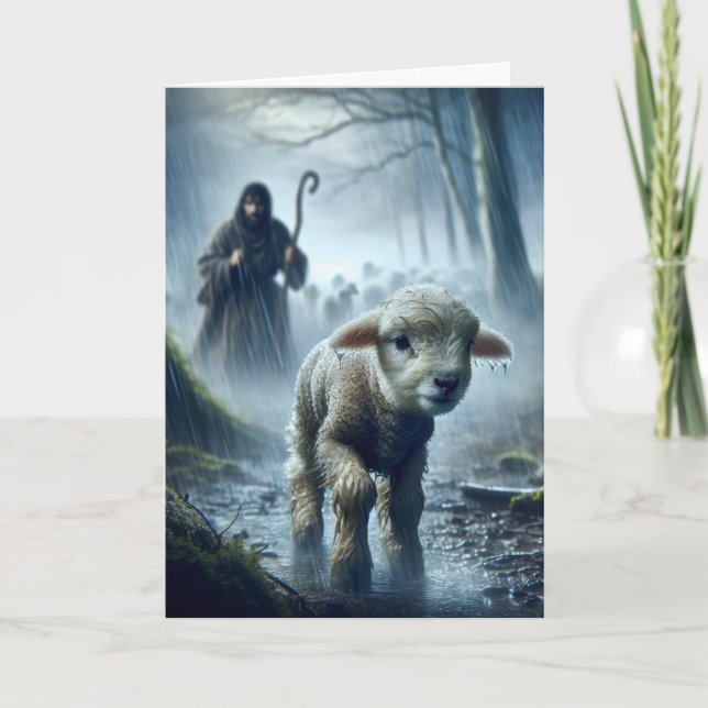 Borttappad Lamb med fårbesättning i regnskog Kort (Framsida)