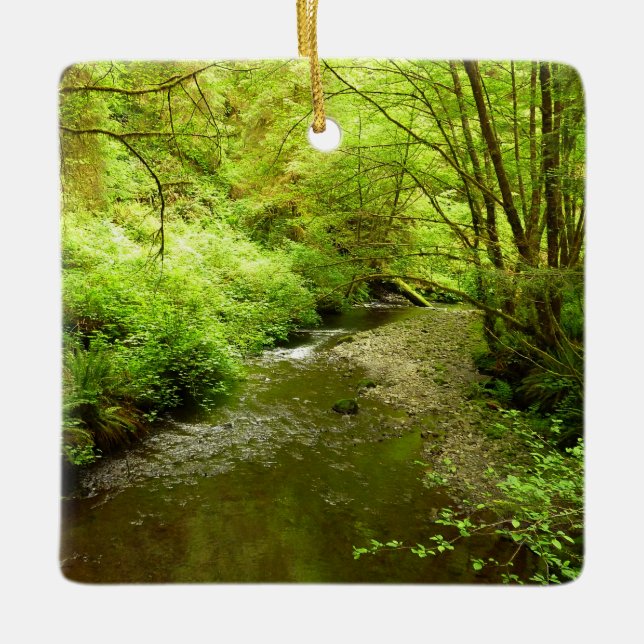 Borttappad Man Bäck I i nationalparken Redwood Julgransprydnad Keramik (Framsida)