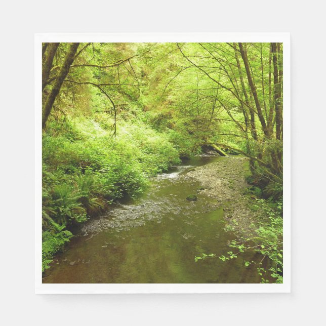 Borttappad Man Bäck I i nationalparken Redwood Pappersservett (Framsidan)