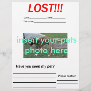 BORTTAPPAD PET FLYER - lodrät