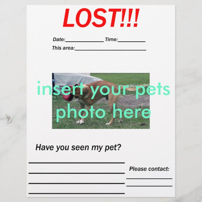 BORTTAPPAD PET FLYER - lodrät (Framsidan)