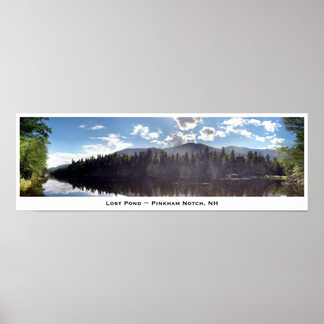 Borttappad Pond ~ Pinkham Notch, NH Poster (Framsidan)