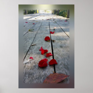 Borttappad röda petaler poster