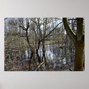 Borttappad Ställen , medeltida natur Poster