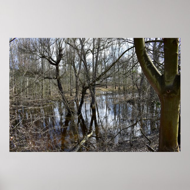 Borttappad Ställen , medeltida natur Poster (Framsidan)