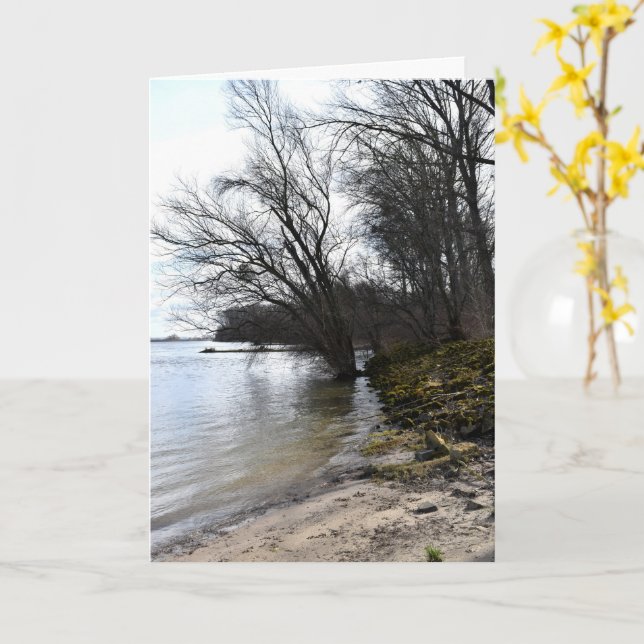 Borttappad Ställen , Träd på flodbanken Kort (Gul blomma)
