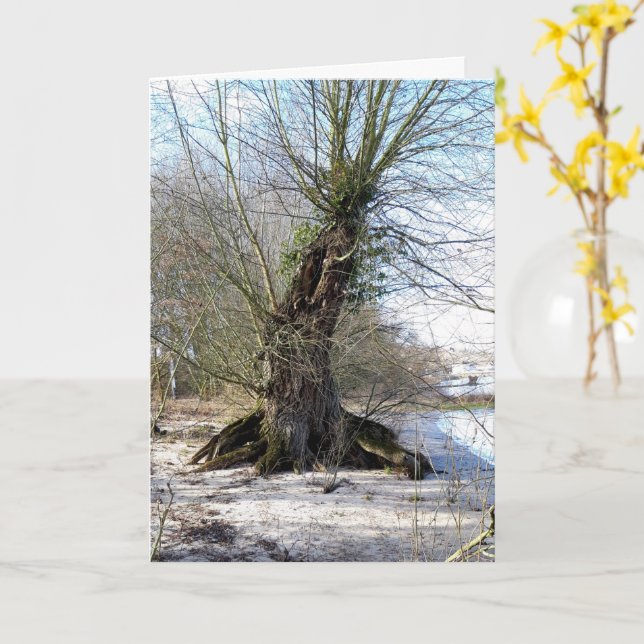 Borttappad Ställen , Träd vid flodstranden Kort (Gul blomma)