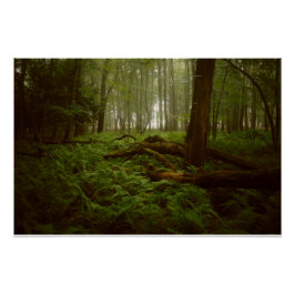 BORTTAPPADEN i SKOGEN Perfect Poster