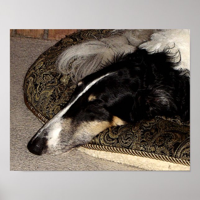 BORZOI ART PRINT POSTER (Framsidan)
