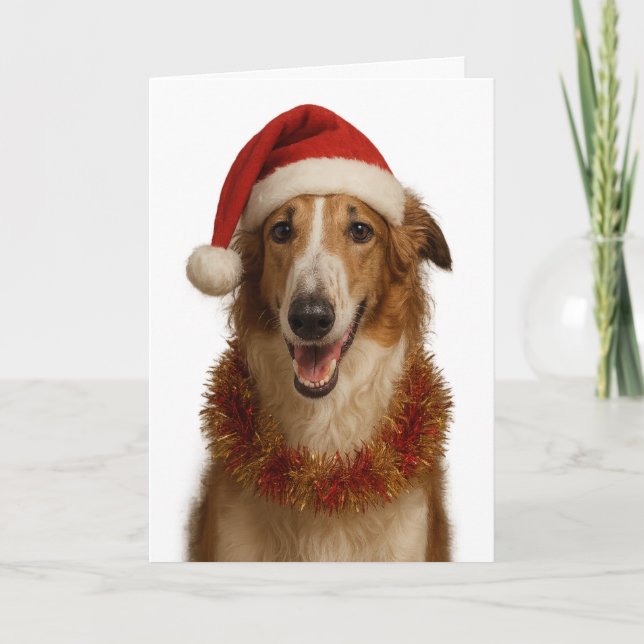 Borzoi (brun och vit)  Julkort med tomtehatt Kort (Framsida)