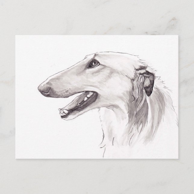 Borzoi Hund Art Bläck huvudprofilvykort Vykort (Framsida)