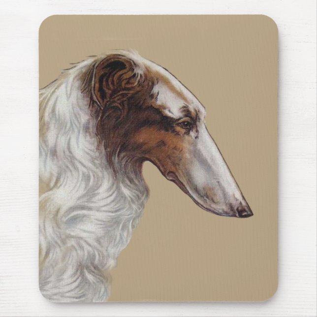 Borzoi-huvud Musdyna Musmatta (Framsidan)