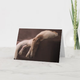 Borzoi i vila meddelande