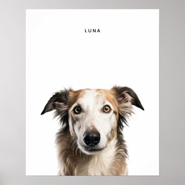 Borzoi Personlig Skriv ut Poster (Framsidan)