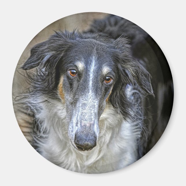 Borzoi Rädding Hund Magnet (Framsidan)