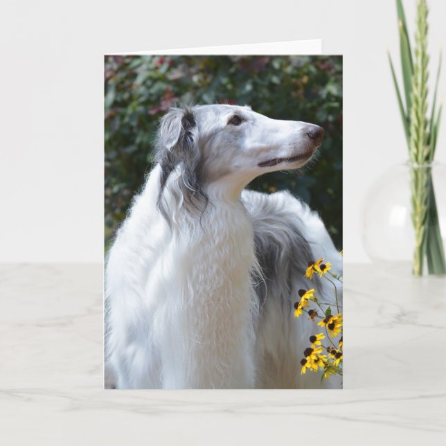 Borzoi Russian Wolfhound Hund Art Photo Card Kort (Framsida)