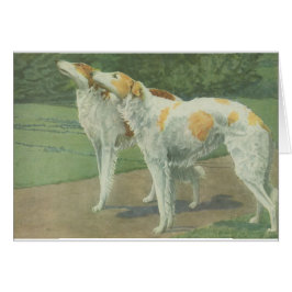 Borzoi (rysk Wolfhound) Hälsningskort
