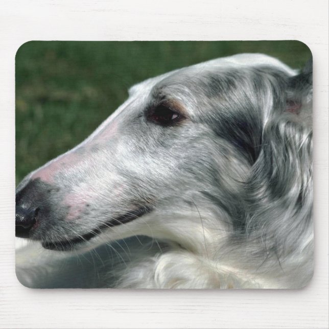 Borzoi rysk Wolfhound Musmatta (Framsidan)