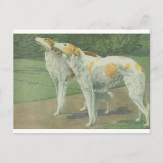 Borzoi (ryska Wolfhound) Vykort