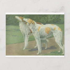Borzoi (ryska Wolfhound) Vykort