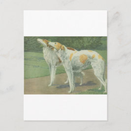 Borzoi (ryska Wolfhound) Vykort