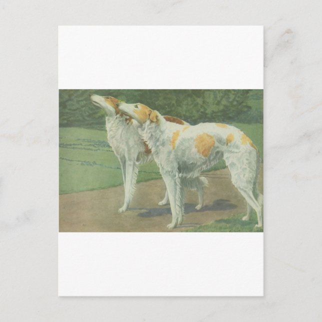 Borzoi (ryska Wolfhound) Vykort (Framsida)