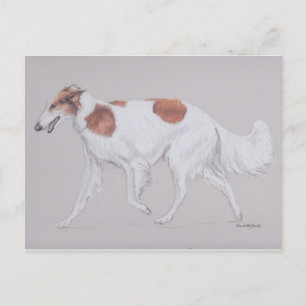 Borzoi Ryssland Wolfhound Hund Hund Art Postcard Vykort