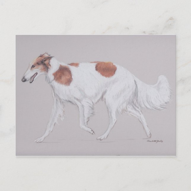 Borzoi Ryssland Wolfhound Hund Hund Art Postcard Vykort (Framsida)