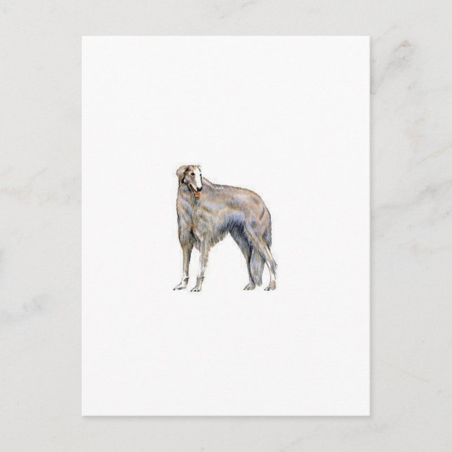 Borzoi Vykort (Framsida)