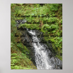 Bosatt vatten poster
