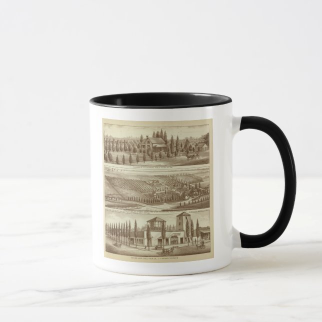 Bosättning, förskola, stadigvarande, Visalia, Cal Mugg (Höger)