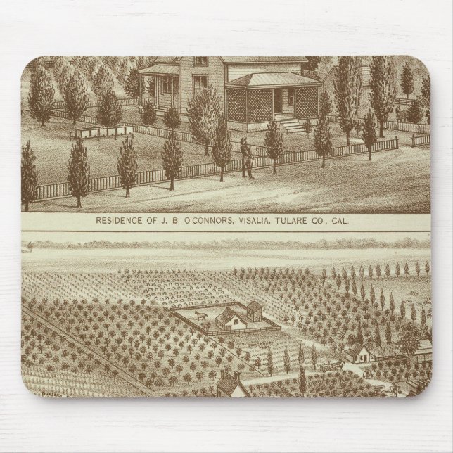 Bosättning, förskola, stadigvarande, Visalia, Cal Musmatta (Framsidan)