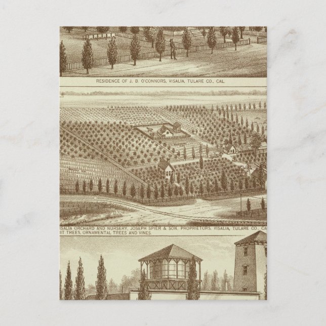 Bosättning, plantskoleverksamhet, stall, Visalia,  Vykort (Framsida)